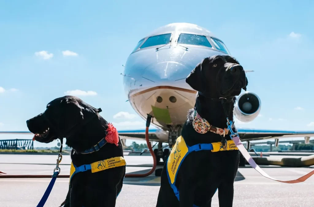 Service dogs airport